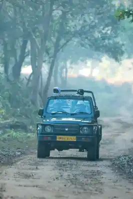 Safari || Family Fun Safari || Family Fun